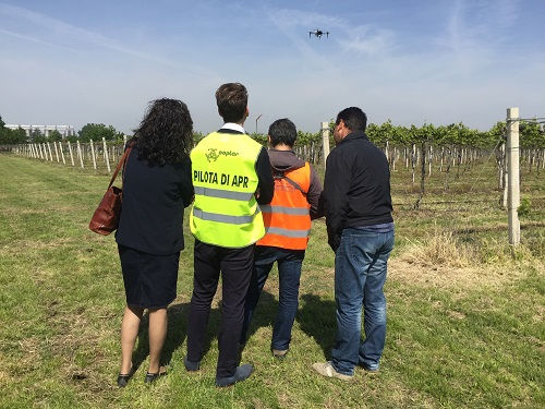 Lo staff di Cooplar durante una disinfestazione mediante droni