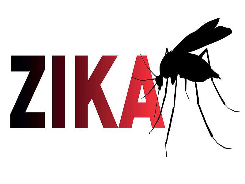 Il virus Zika